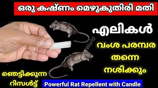 💯 എലികൾ കൂട്ടമായി ചത്തു വീഴാൻ ഒരു കഷ്ണം മെഴുകുതിരി മാത്രം മതി കിടിലൻ സൂത്രം  ratremoval [upl. by Nylsor]