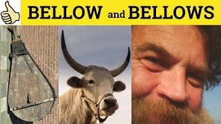 🔵 Bellow Bellows  Bellow Meaning  Bellows Examples  Bellow Definition  Bellows Defined  Bellow [upl. by Aliuqaj]