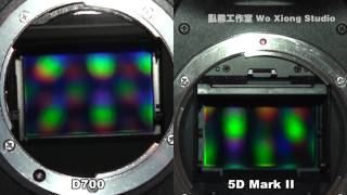 D700 7D 5D MK II Shutter Release Test [upl. by Service]