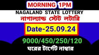 2509 2024 9000450 টাকা ঘরের middle part number target today। Nagaland state lottery Sambad [upl. by Nilde]