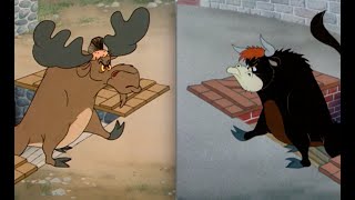 Which Is Better 28  Homesteader Droopy vs Senor Droopy [upl. by Atteyram]