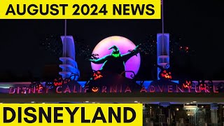 Disneyland News for Tourists August 2024  Ride Closures [upl. by Asseneg]