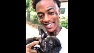 FUNNIEST Boonk Stealing Vines Compilation  Magnolia [upl. by Bertelli]