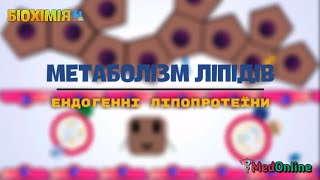 Метаболізм Ліпідів  Ліпопротеїни Плазми Крові [upl. by Fonz449]