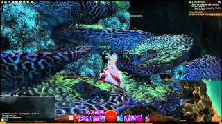 GW2 Buried Archives jumping puzzle guide Cursed Shores [upl. by Eddana]