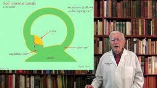 Lecture 3 The Vestibular System Structure Function and Dysfunction [upl. by Rochus]