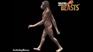 TRILOGY OF LIFE  Walking with Beasts  quotAustralopithecus afarensisquot [upl. by Tadd]