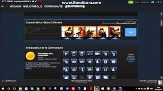 Tuto Créer un badge steam [upl. by Willdon782]