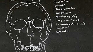 Tutes Online  Craniometric Anterior Midsagittal Landmarks [upl. by Eilyr]