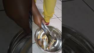 Our little catch bream freshwaterfish bassfishing fishing [upl. by Laup]