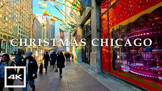 Chicago Christmas Walk 2023 ✨ Macys Holiday Windows 2023  4K HDR 60fps [upl. by Sateia]