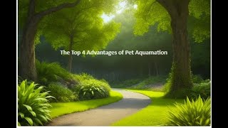 The TOP 4 Advantages of PET AQUAMATION [upl. by Solitta]