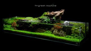 Aquascape Tutorial Simplicity by James Findley  how to create a planted tank [upl. by Sholley]