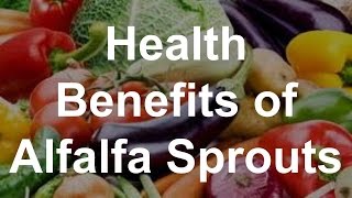 Health Benefits of Alfalfa Sprouts [upl. by Nosae]