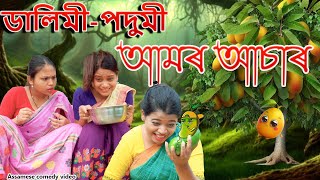 Dalimi podumir Aamr Asar  Assamese comedy video  Assamese funny video [upl. by Isabel]