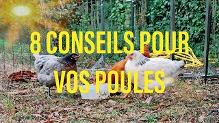 8 conseils pour bien élever VOS POULES [upl. by Chon980]