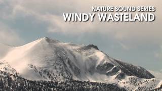 Windy Wasteland  Nature Sound Series  Mountain wind scene 1 hour [upl. by Nelleh]