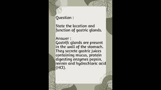 State the location and function of gastric glands [upl. by Nnaeirual]