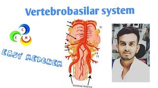 VERTEBROBASILAR SYSTEM [upl. by Jasun]