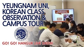 Yeungnam univ campus tour amp Korean class observation [upl. by Aenaj583]