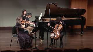 Brahms Piano Trio No 1 in B Major Op 8 I Allegro con brio [upl. by Ahsirtal]