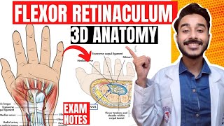 flexor retinaculum anatomy 3d  flexor retinaculum of hand anatomy  anatomy of flexor retinaculum [upl. by Izaak]