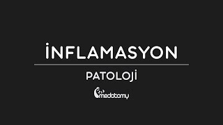 İnflamasyon1  2020 [upl. by Leticia]