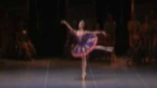 Dorothee Gilbert  Bayadere [upl. by Ahsenet588]