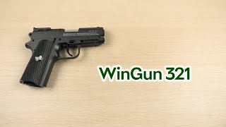 Розпаковка WinGun 321 [upl. by Frye]