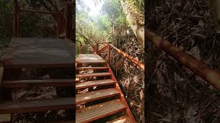 Stairs at Machu Picchu [upl. by Namyl20]