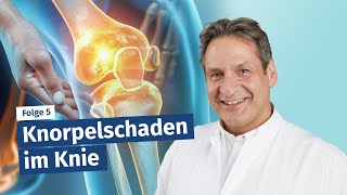 Knorpelschaden im Knie Wenn der quotStoßdämpferquot versagt [upl. by Treacy674]