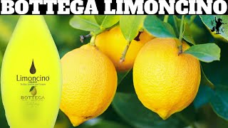 Bottega Limoncino Liqueur Review [upl. by Kimmel337]