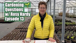 Gardening Questions w Rosy Hardy  Episode 13 [upl. by Rizzi]