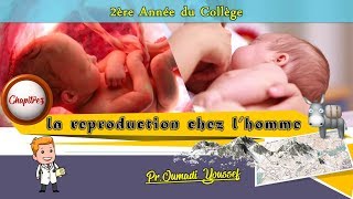 CHapitre 3 la reproduction chez lhomme [upl. by Oicafinob]