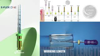 Instruction of How to Use Eighteeth EFLEX ONE Heat Treated Endo Files Usage Protocol [upl. by Asilenna]