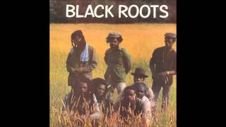 Black Roots  Black Roots full album [upl. by Ahsimrac944]