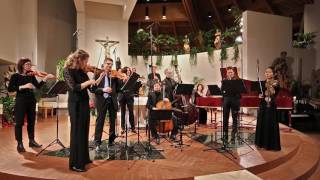 Zefiro Baroque Orchestra  J S Bach BWV 2482  Sinfonia [upl. by Papst]