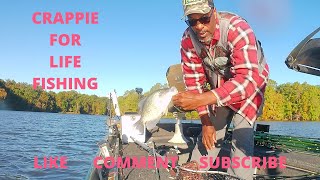 Crappie Fishing Lake Oconee Fall Slabs [upl. by Aydni]