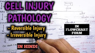 Cell injury pathology in hindi  Mechanisms of cell injury  Apoptosis  Necrosis [upl. by Linnea]
