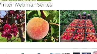 Plum Curculio Research and Updates amp Apple Tree Grafting Why and How to [upl. by Hayn]