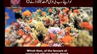 Surah Ar Rehman n° 55 Urdu amp English Translate By Qtv [upl. by Arolf]