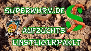 Nun wird gezüchtet Das Regenwurmkokons Zuchtset von SuperWurm [upl. by Ludwig51]