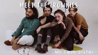 Meet The Frownies  Mr Twin Sister slowed  reverb Mix [upl. by Sandie]