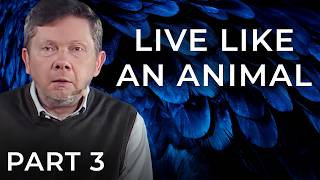 How to Stop Worrying About Things That Never Happen  Eckhart Tolle [upl. by Nanci]