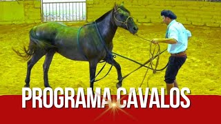 Doma à moda Gaúcha no PROGRAMA CAVALOS [upl. by Fiedler]