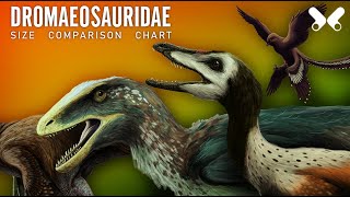 DROMAEOSAURIDAE dromaeosaurs size comparison chart of ¨raptors¨ [upl. by Ppilihp]