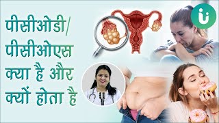 पॉलीसिस्टिक ओवरी सिंड्रोम  PCOD या PCOS का कारण क्या होता है  PCOD or PCOS causes in hindi [upl. by Annocahs305]