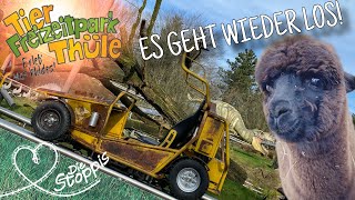 Tier und Freizeitpark Thüle 2024  Saisonstart  Es geht wieder los 🦙🐯 [upl. by Kalam]