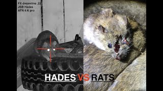 Hades vs Rats [upl. by Llerrah211]