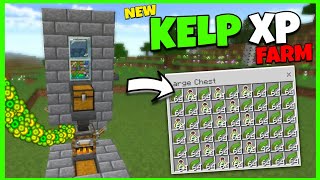 The BEST KELP XP FARM TUTORIAL in Minecraft Bedrock 120 [upl. by Ehlke99]